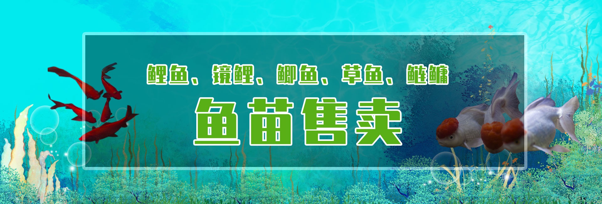 &#74;&#68;&#66;&#40;&#20013;&#22269;&#30005;&#23376;&#41;&#23448;&#26041;&#32593;&#31449;&#95;&#74;&#68;&#66;