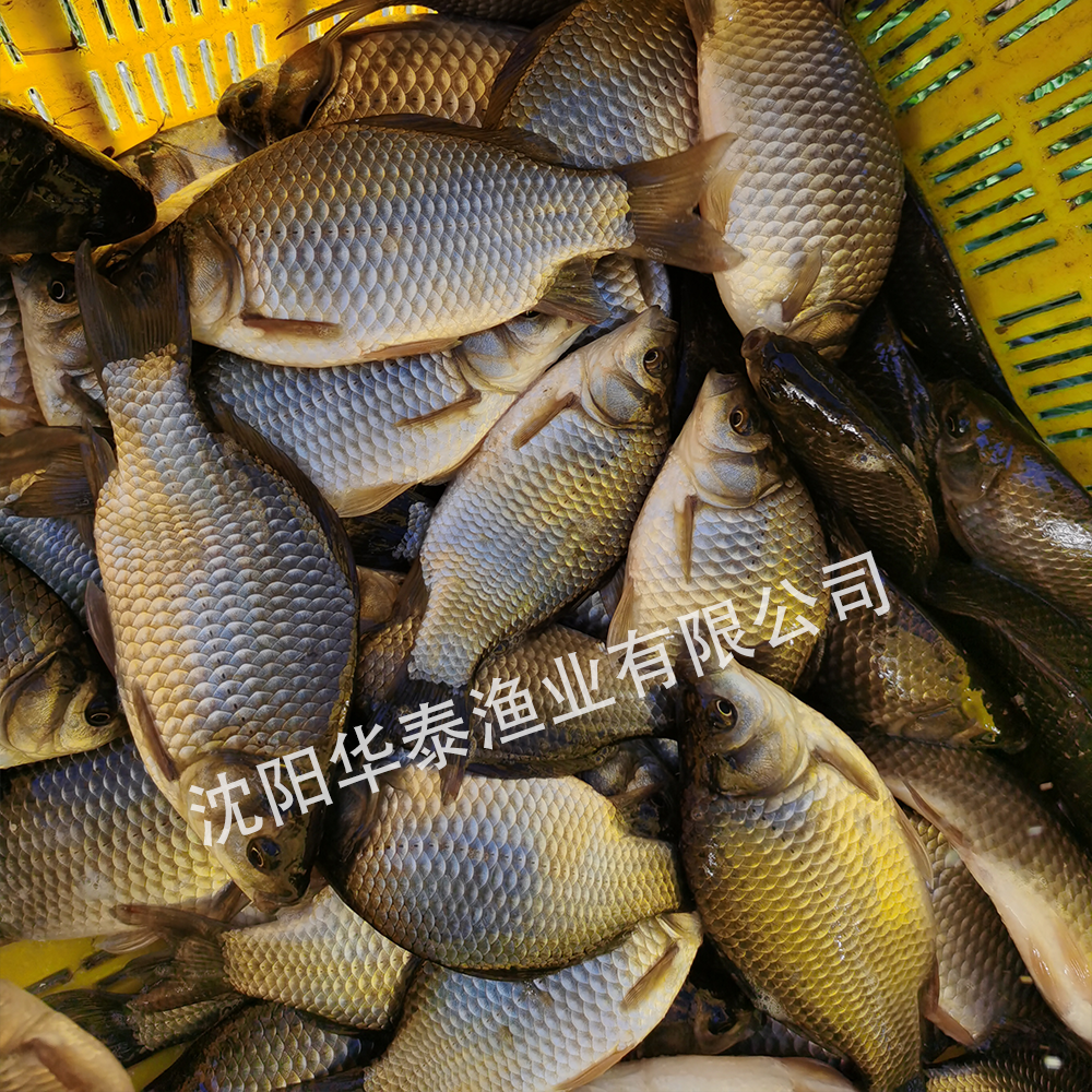 &#74;&#68;&#66;&#40;&#20013;&#22269;&#30005;&#23376;&#41;&#23448;&#26041;&#32593;&#31449;&#95;&#74;&#68;&#66;