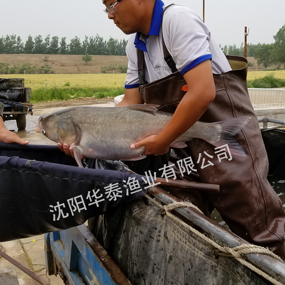 &#74;&#68;&#66;&#40;&#20013;&#22269;&#30005;&#23376;&#41;&#23448;&#26041;&#32593;&#31449;&#95;&#74;&#68;&#66;