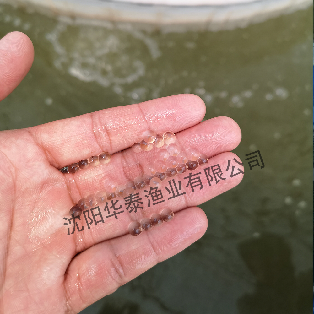 &#74;&#68;&#66;&#40;&#20013;&#22269;&#30005;&#23376;&#41;&#23448;&#26041;&#32593;&#31449;&#95;&#74;&#68;&#66;